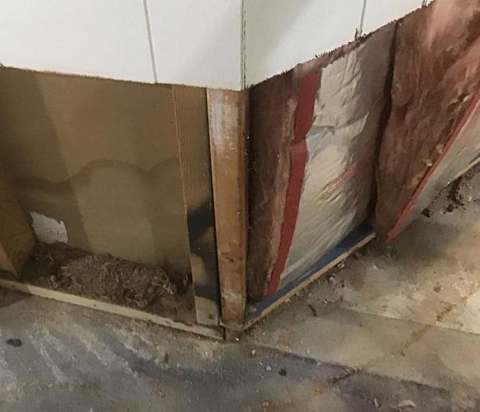 Water damaged wall with insulation